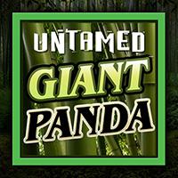 Untamed - Giant Panda